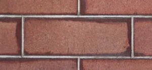 thanksgiving point brick canvas